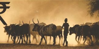 Livestock & Poultry experts’ views on Budget 2023-24