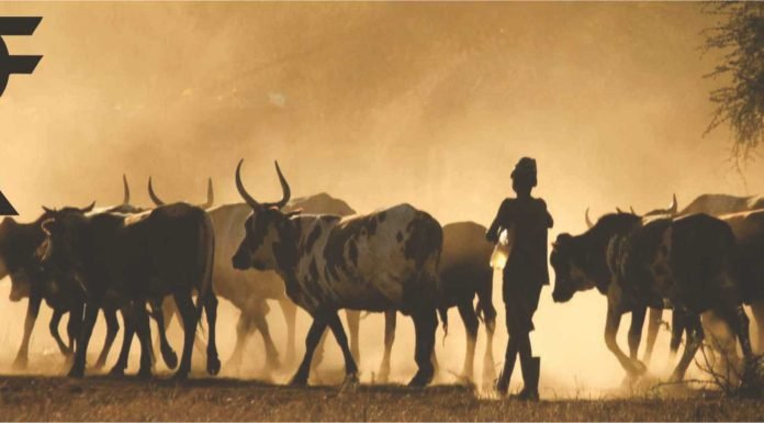 Livestock & Poultry experts’ views on Budget 2023-24