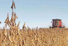 India’s soymeal exports report