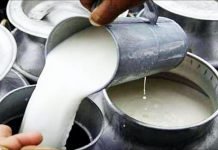 Fodder inflation for January at 29.30 per cent, continues to rise