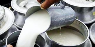 Fodder inflation for January at 29.30 per cent, continues to rise