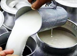 Fodder inflation for January at 29.30 per cent, continues to rise