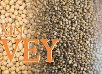 Cargill Mycotoxin Survey Finds a Higher Aflatoxin Contamination in India Compared to Last Year
