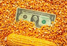 USGC Weekly Price Report 17 Mar 2023