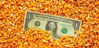 USGC Weekly Price Report 17 Mar 2023