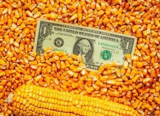 USGC Weekly Price Report 17 Mar 2023