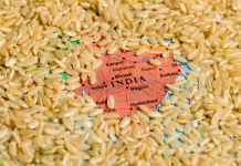India approved the exports of 3.5 lakh tonnes broken rice to Gambia, Senegal