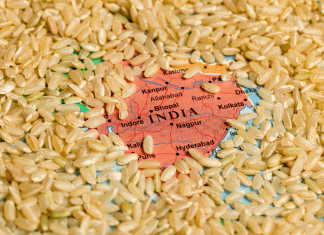 India approved the exports of 3.5 lakh tonnes broken rice to Gambia, Senegal