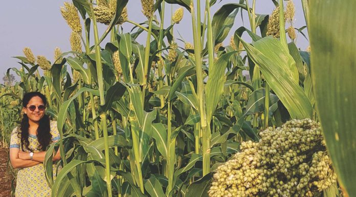 Role of Millets in Animal Nutrition