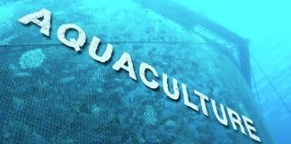 Aquaculture bill introduced by government amid din in Lok Sabha.