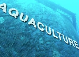 Aquaculture bill introduced by government amid din in Lok Sabha.