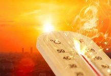 Heatwave hitting Indian poultry sector