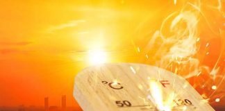 Heatwave hitting Indian poultry sector