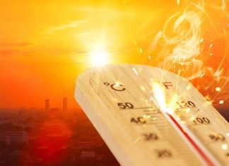 Heatwave hitting Indian poultry sector
