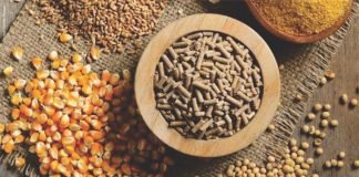 Alternatives – Other Essential Ingredients