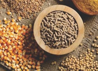 Alternatives – Other Essential Ingredients