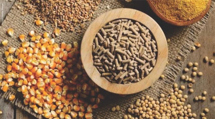 Alternatives – Other Essential Ingredients