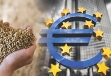 A 3.8% Decline in EU Compound Feed Production