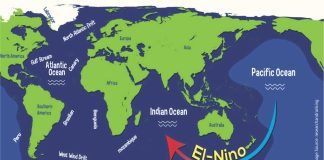 El Nino Impact May Hit Maize, Soya, and Rice Output in India