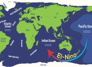 El Nino Impact May Hit Maize, Soya, and Rice Output in India