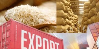 Government lifts ban on broken rice exports to meet food security needs of other nations.