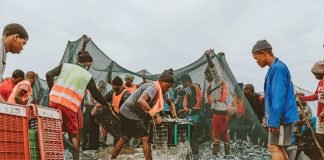 Fish meal exports boom on sardine rush to Indian coasts amid global shortage