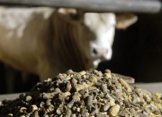 Tripura eyes self-reliance in animal feed production