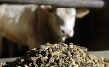 Tripura eyes self-reliance in animal feed production