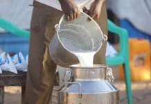 NDRI commercialises technology for antibiotic detection in milk