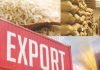 India Approves Wheat and Broken Rice Export Requests