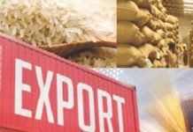 India Approves Wheat and Broken Rice Export Requests