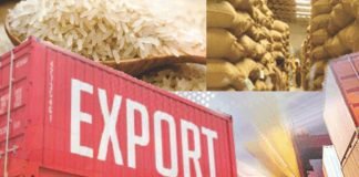 India Approves Wheat and Broken Rice Export Requests