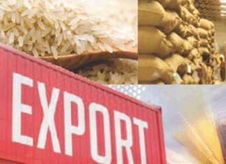 India Approves Wheat and Broken Rice Export Requests