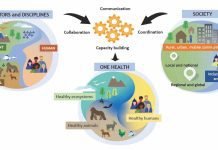 One Health – What Affects One, Will Affect the Others