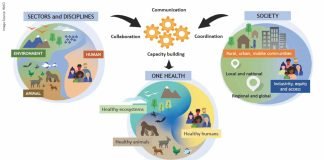 One Health – What Affects One, Will Affect the Others