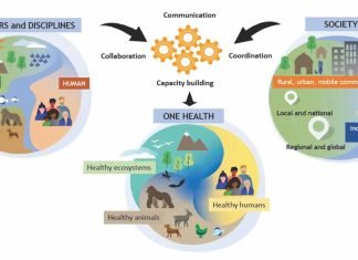 One Health – What Affects One, Will Affect the Others