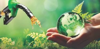 Rice Allocation for Ethanol – Is It the Right Move?