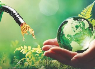 Rice Allocation for Ethanol – Is It the Right Move?