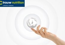 Trouw Nutrition launches new service to accurately estimate the environmental footprint of milk