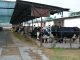 The Bengal govt plans to construct a dairy facility in Haringhata, costing Rs 65 crore