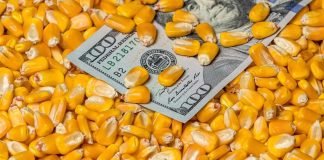 USGC Weekly Price Report for week ended 28 Jul 2023