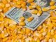 USGC Weekly Price Report for week ended 28 Jul 2023