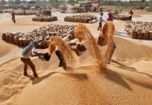 FCI plans to sell 1.5 MT of wheat and 1 MT of rice on the open market