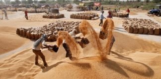 FCI plans to sell 1.5 MT of wheat and 1 MT of rice on the open market