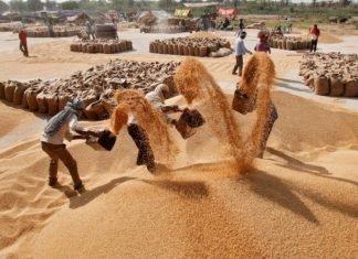 FCI plans to sell 1.5 MT of wheat and 1 MT of rice on the open market