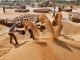FCI plans to sell 1.5 MT of wheat and 1 MT of rice on the open market