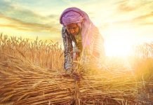 Increasing PACS and FPO collaboration