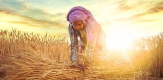 Increasing PACS and FPO collaboration