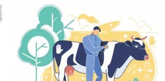 A Better Livestock Budget Can Ensure Nutritional Security & Multiplied Farmers’ Profits