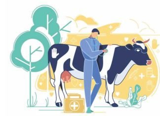 A Better Livestock Budget Can Ensure Nutritional Security & Multiplied Farmers’ Profits